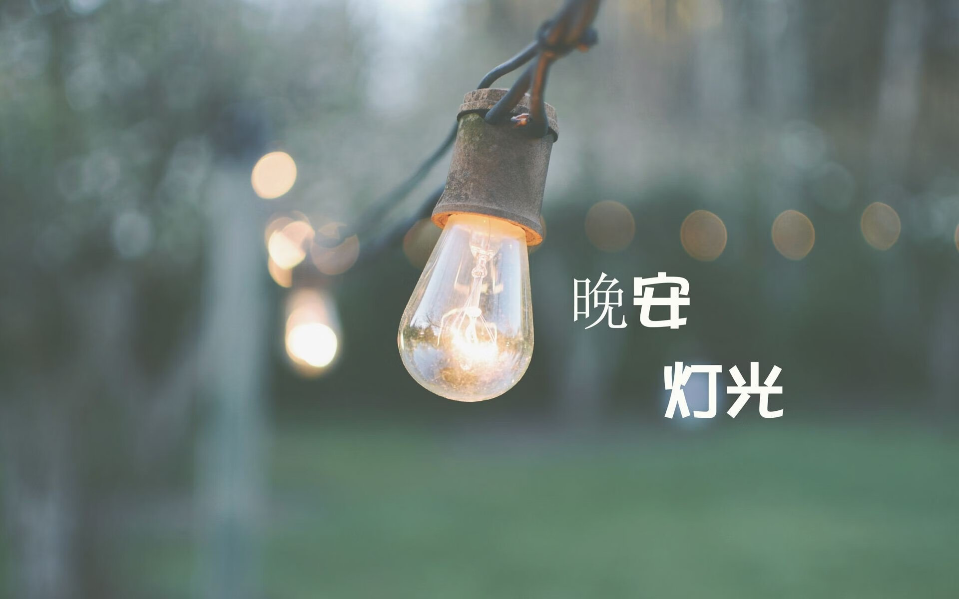 巴西骑手卡洛斯·帕罗在巴黎奥运会盛装舞步比赛中获得第六名，创造个人最佳成绩。