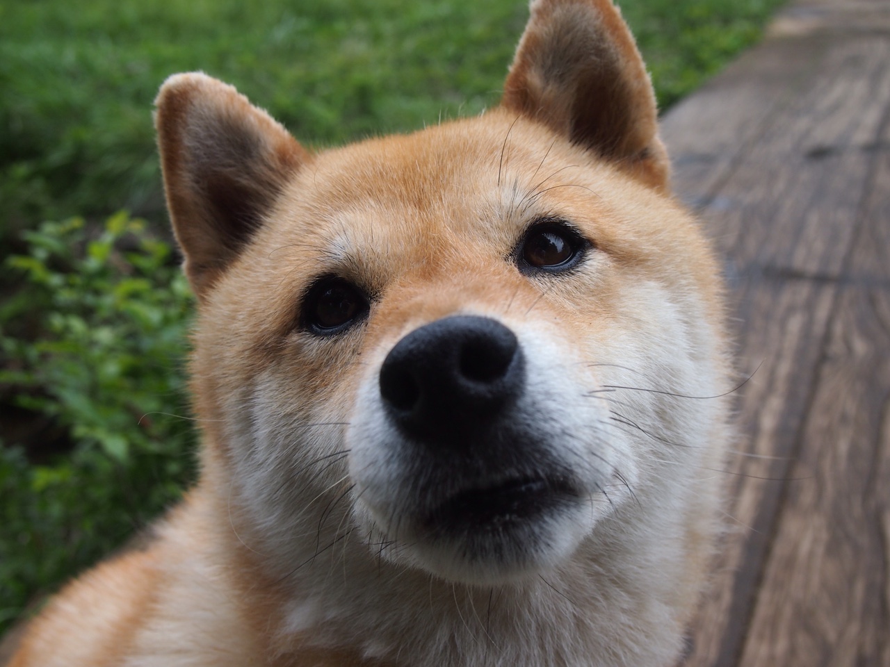 传奇足球巨星对决：全球体坛焦点，传奇的足球巨星