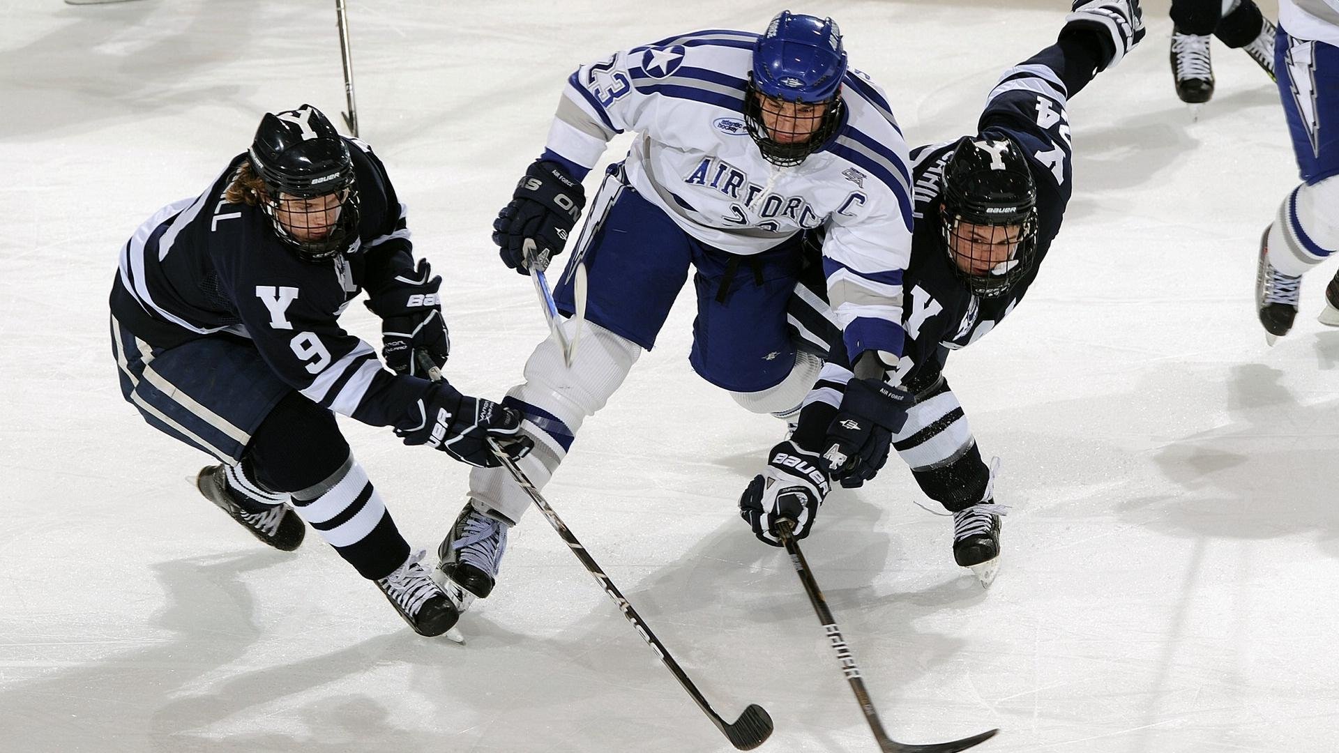 巴西马术协会推出马术运动员健康管理系统，关注运动员身心健康。