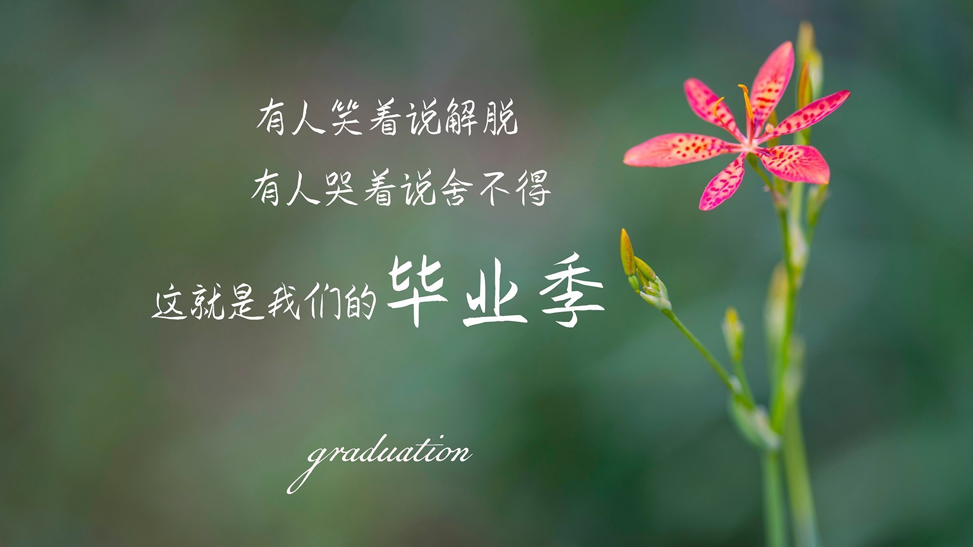 im电竞官网登录-球员精气神十足，比赛节奏异常激烈，球员的精神