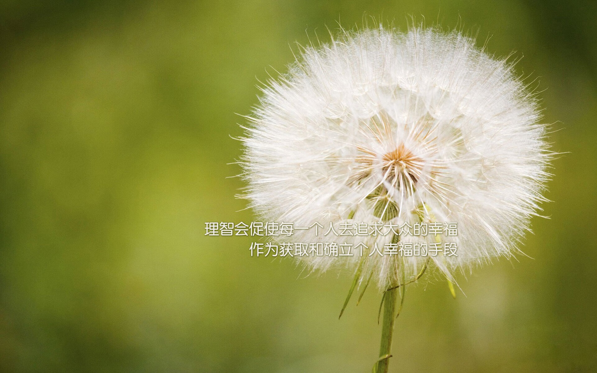 im体育官方登录网站入口-阿贾克斯客场-险胜乌德勒支，泰利斯进球，阿贾克斯球队