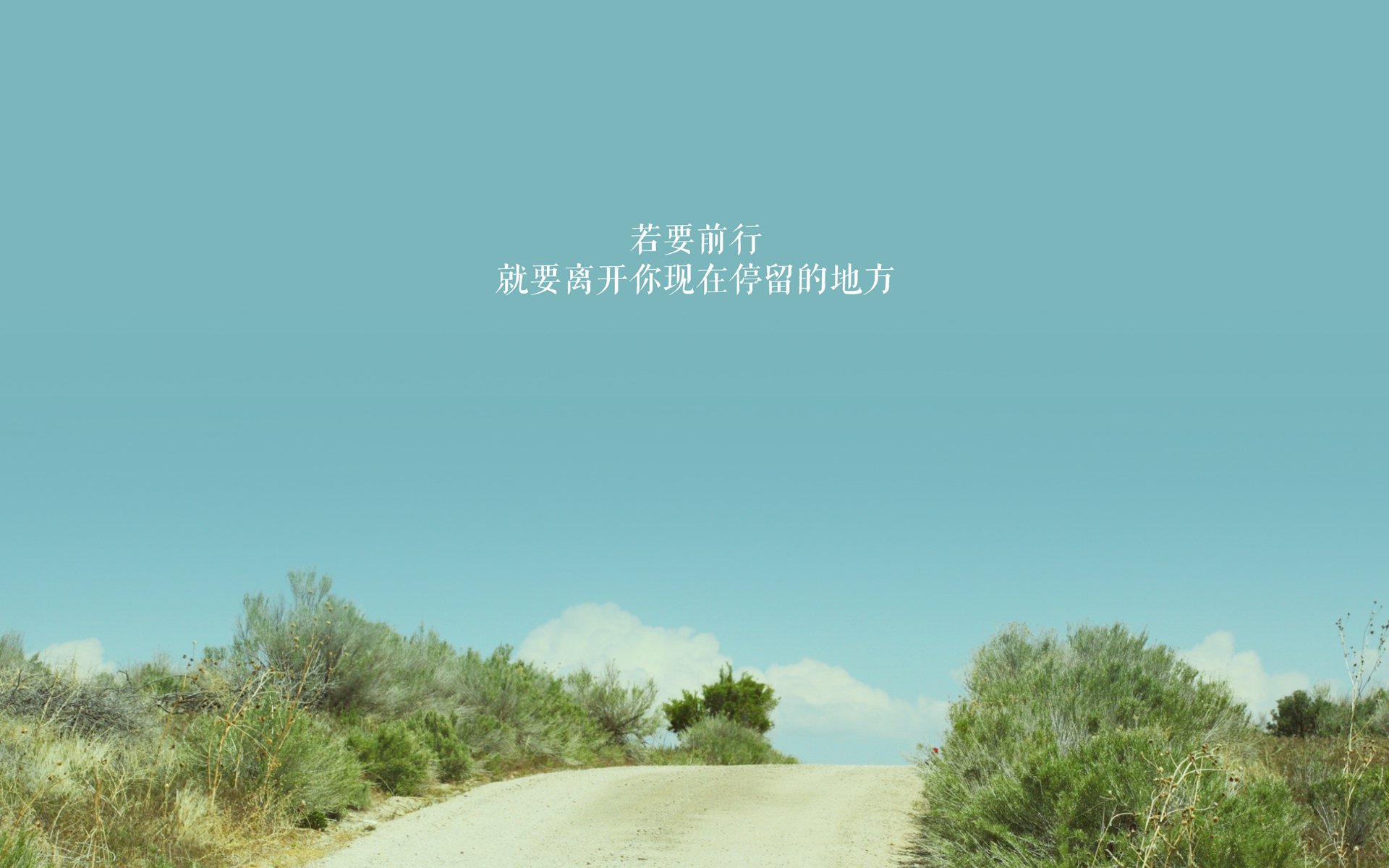 im体育官网首页-伊布拉希莫维奇职业生涯累计进球超500粒，足球传奇永不褪色，伊布拉希莫维奇是几号球衣