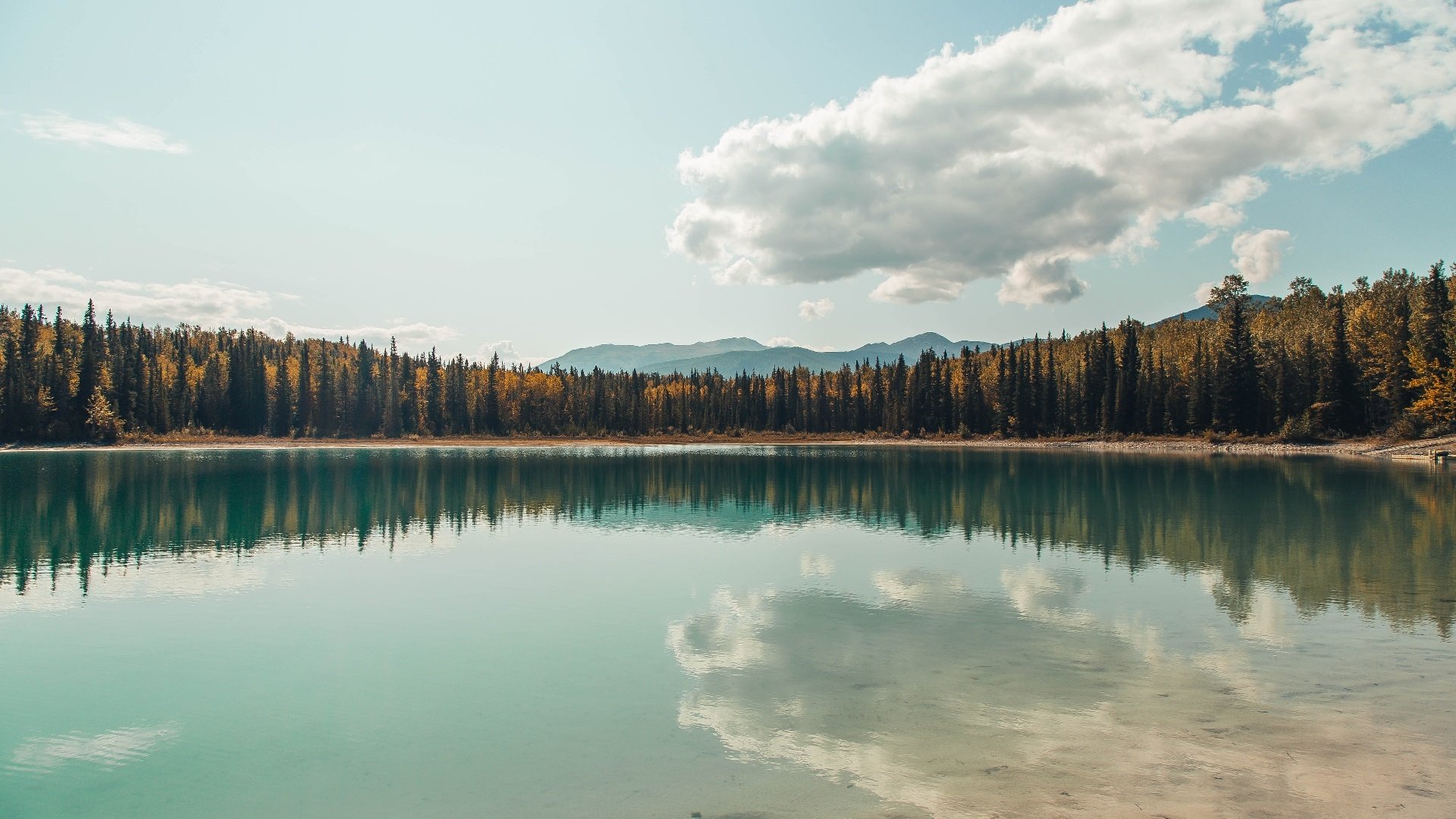 意甲逆转战：全场最精彩的卧底逆袭，意甲转会最新全一览