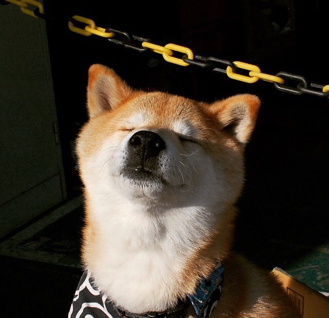 李娜发布个人新书分享成长故事,李娜成名作