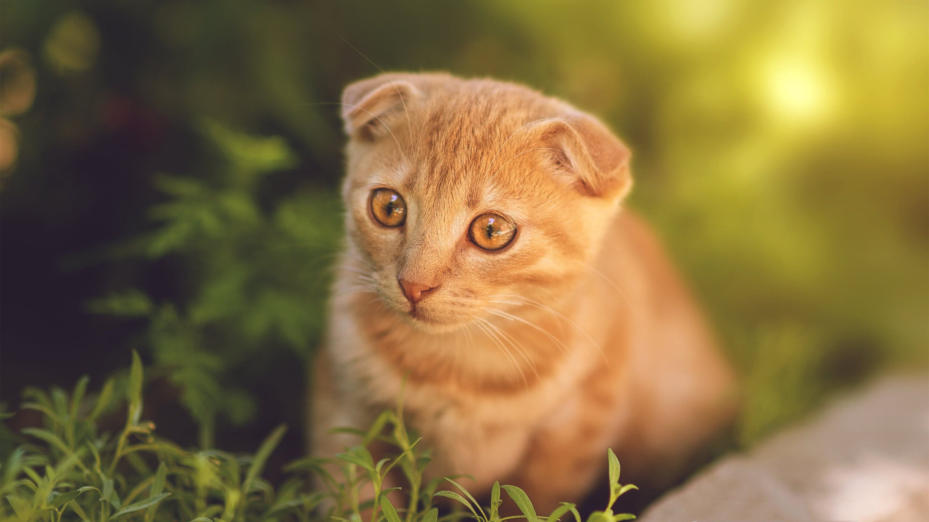 水球攻防转换中立代表队A节奏明快，水球犯规区